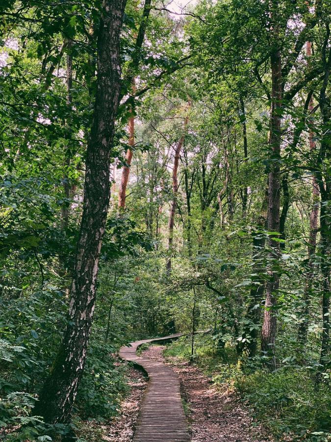 Mimi'S Natuurhuisje Lanaken Eksteriør bilde